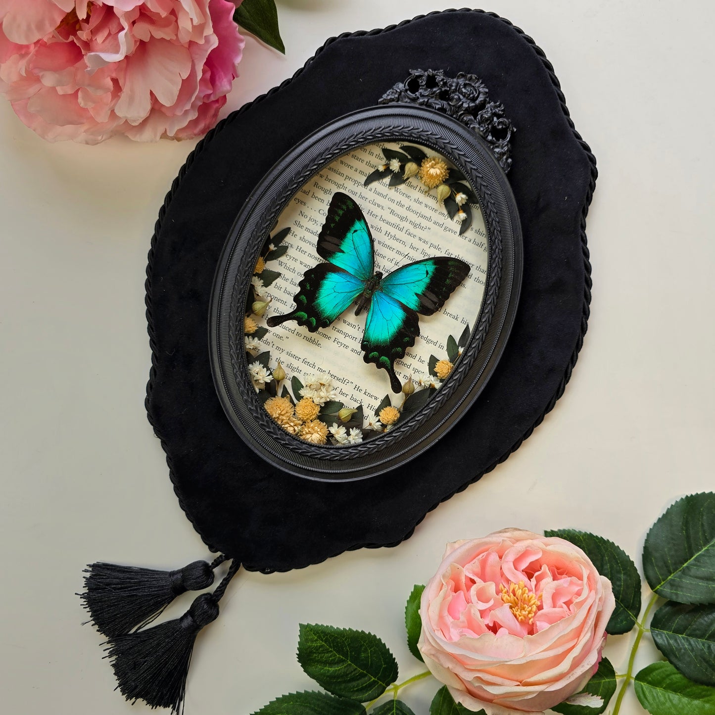 Türkisgrüner Schmetterling Papilio lorquinianus gelia im ovalen Barockrahmen
Präparierter Butterfly Papilio lorquinianus gelia als Insect Decor im schwarzen Rahmen
Echter Papilio lorquinianus gelia Schmetterling mit floralem Arrangement im Barockrahmen