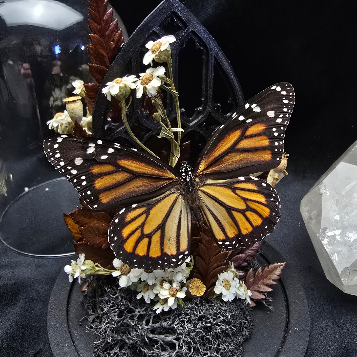 Finest Obituaries | Schmetterling in Glasglocke "Danaus Plexippus"