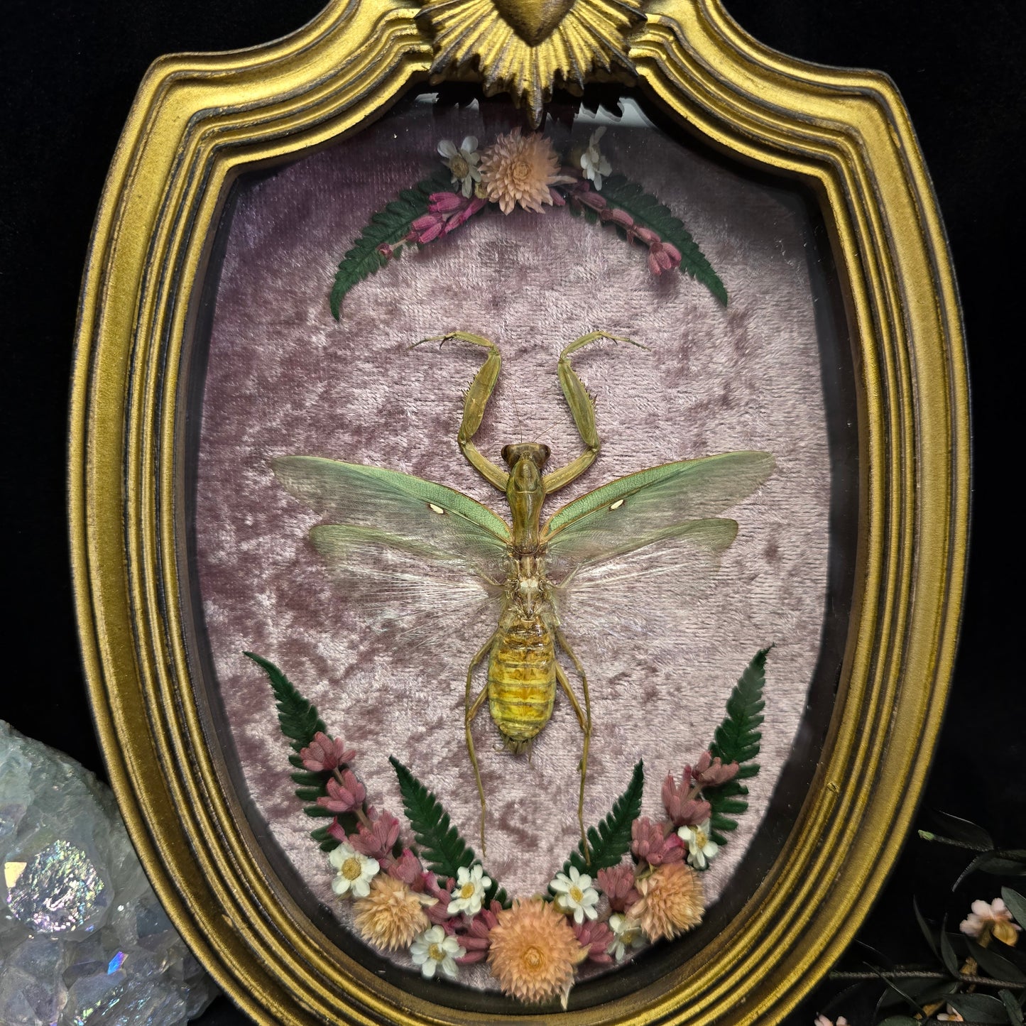 Finest Obituaries | Gottesanbeterin in Barockrahmen