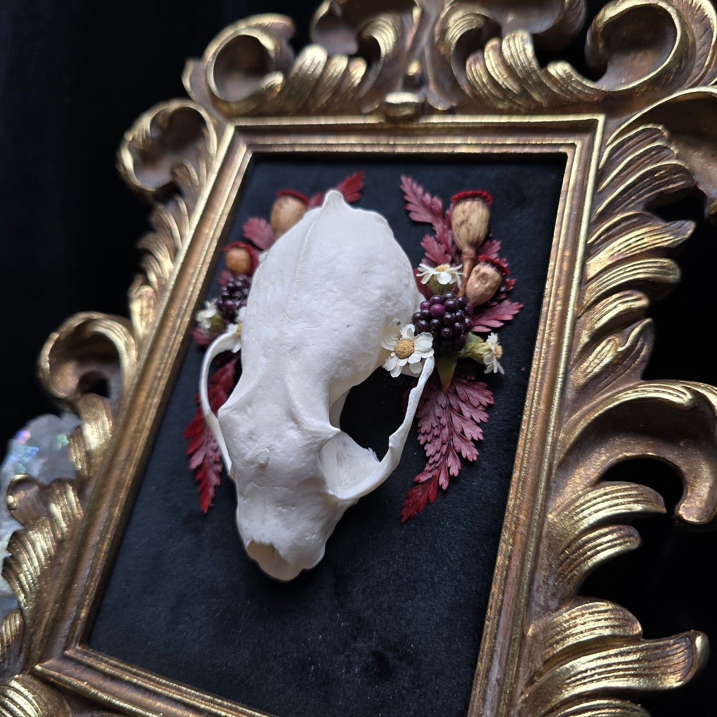 Finest Obituaries | Marderschädel im Barockrahmen