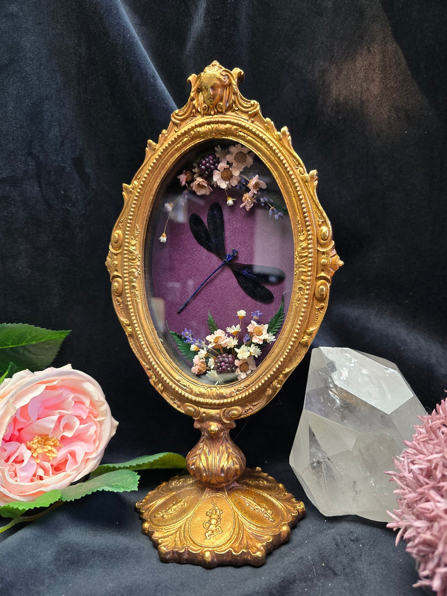 Finest Obituaries |Libelle "Vestalis Luctuosa" in Barockrahmen