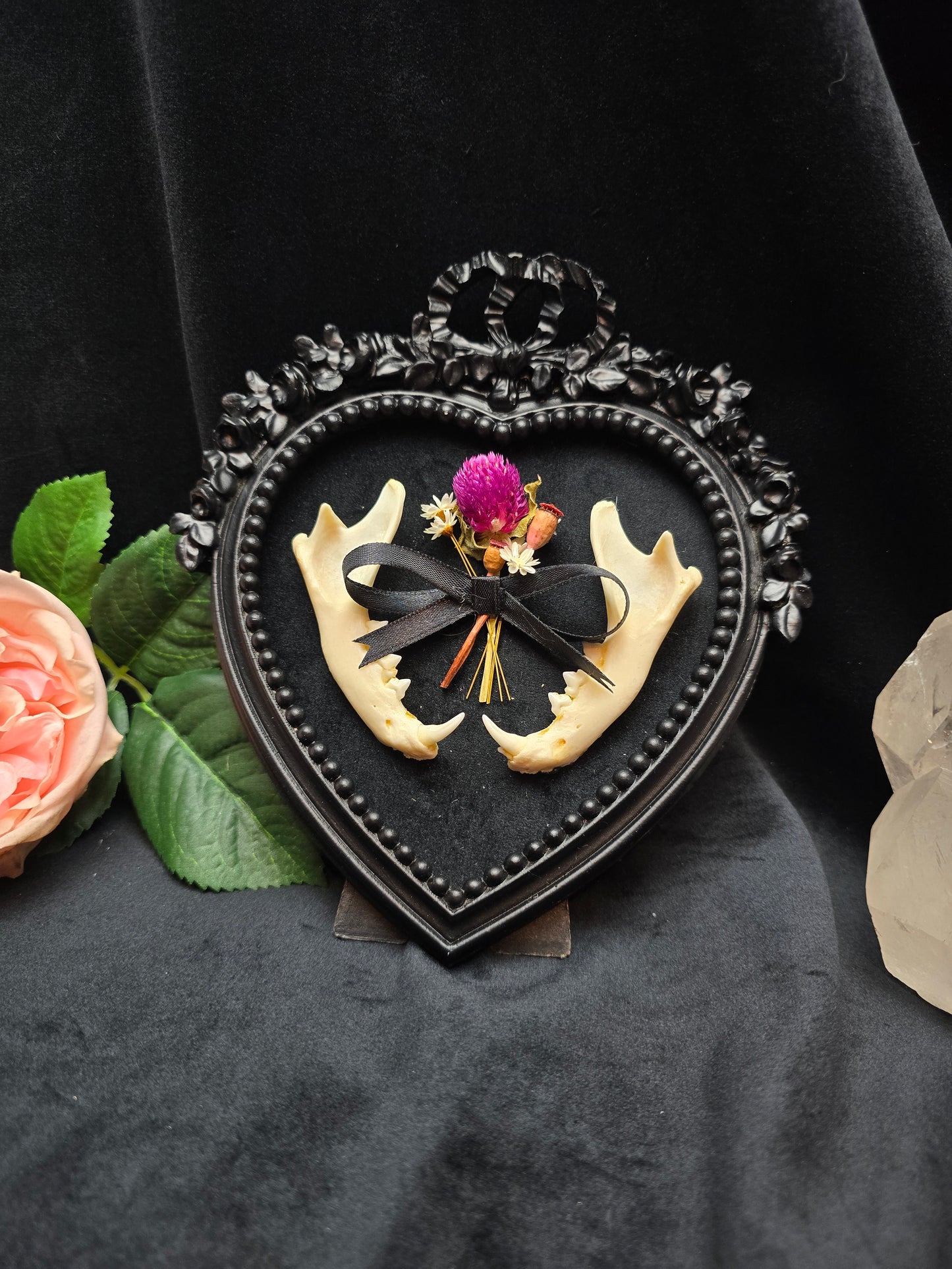 Finest Obituaries | Cat Jaw Bone in baroque frame