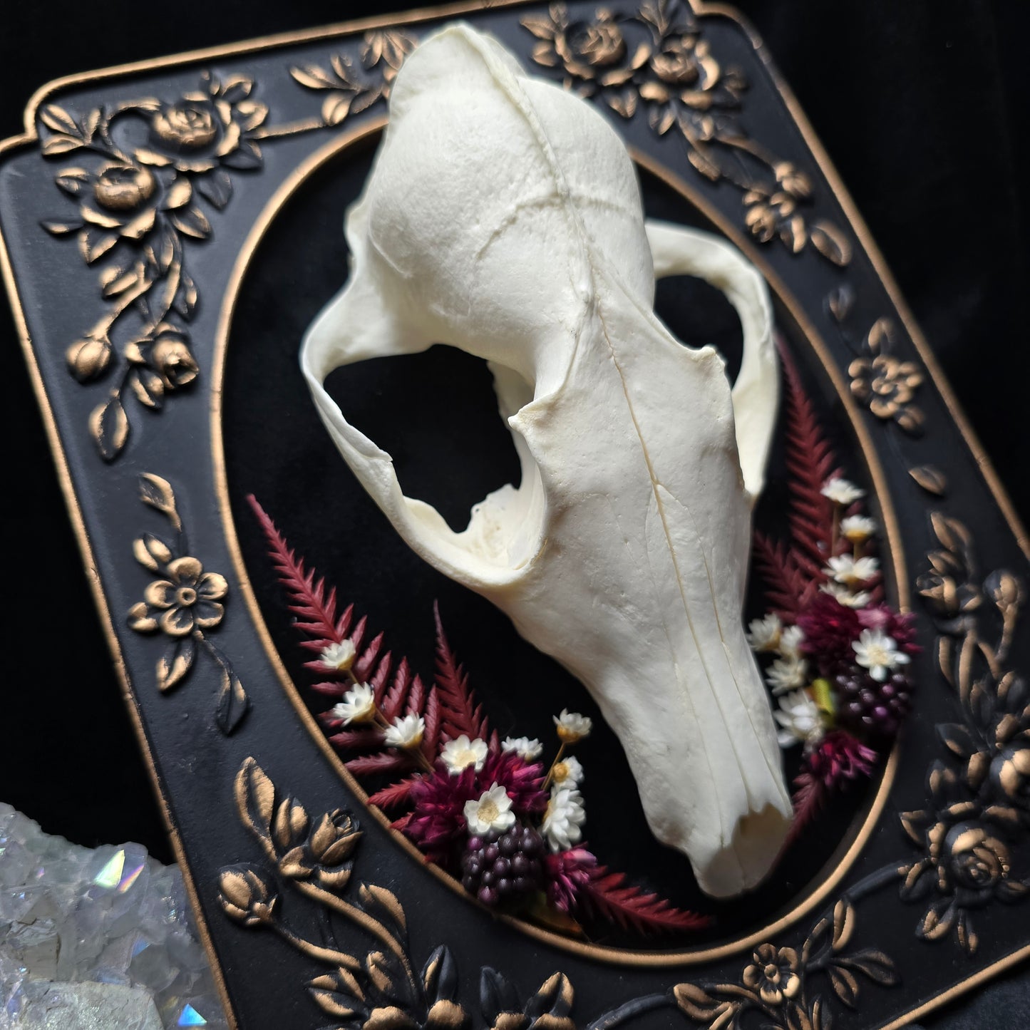 Finest Obituaries | Fuchsschädel im Barockrahmen