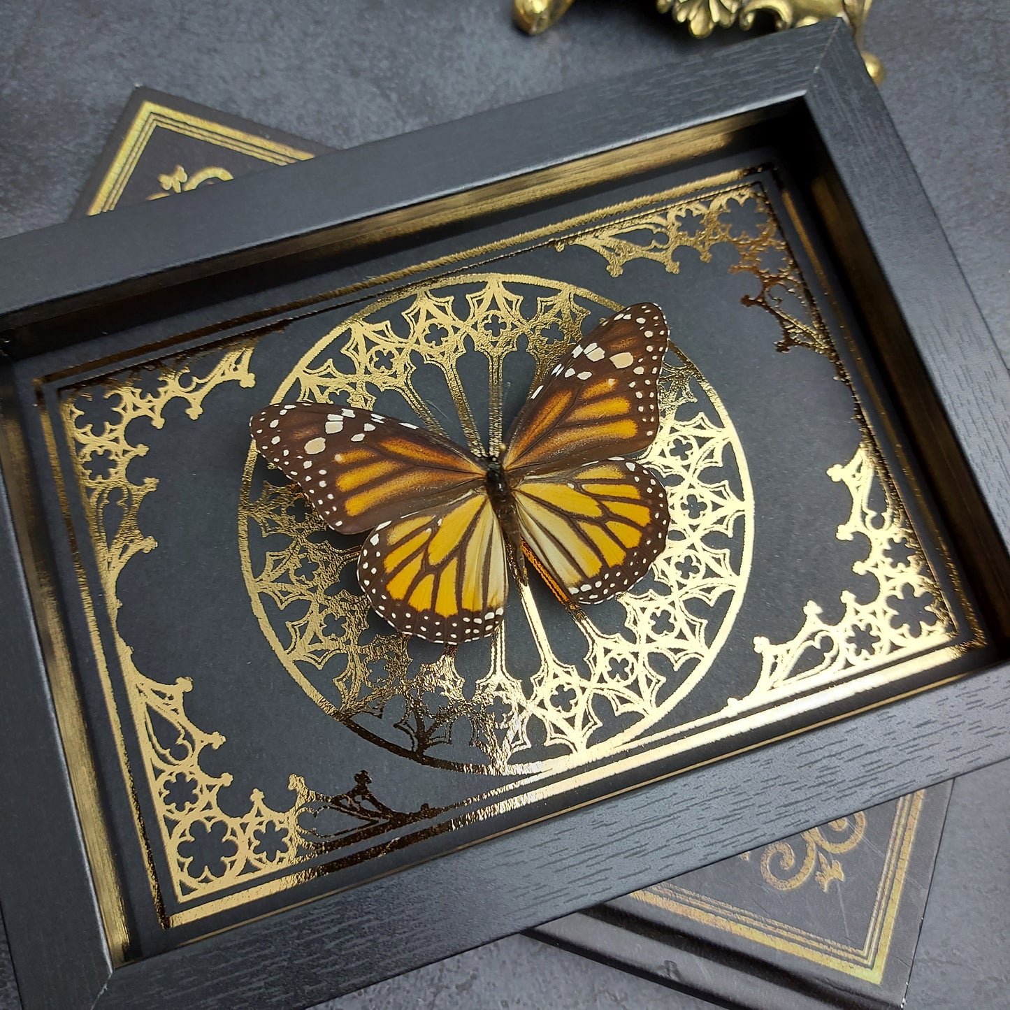 Finest Obituaries | Schmetterling im Rahmen "Danaus Plexippus"