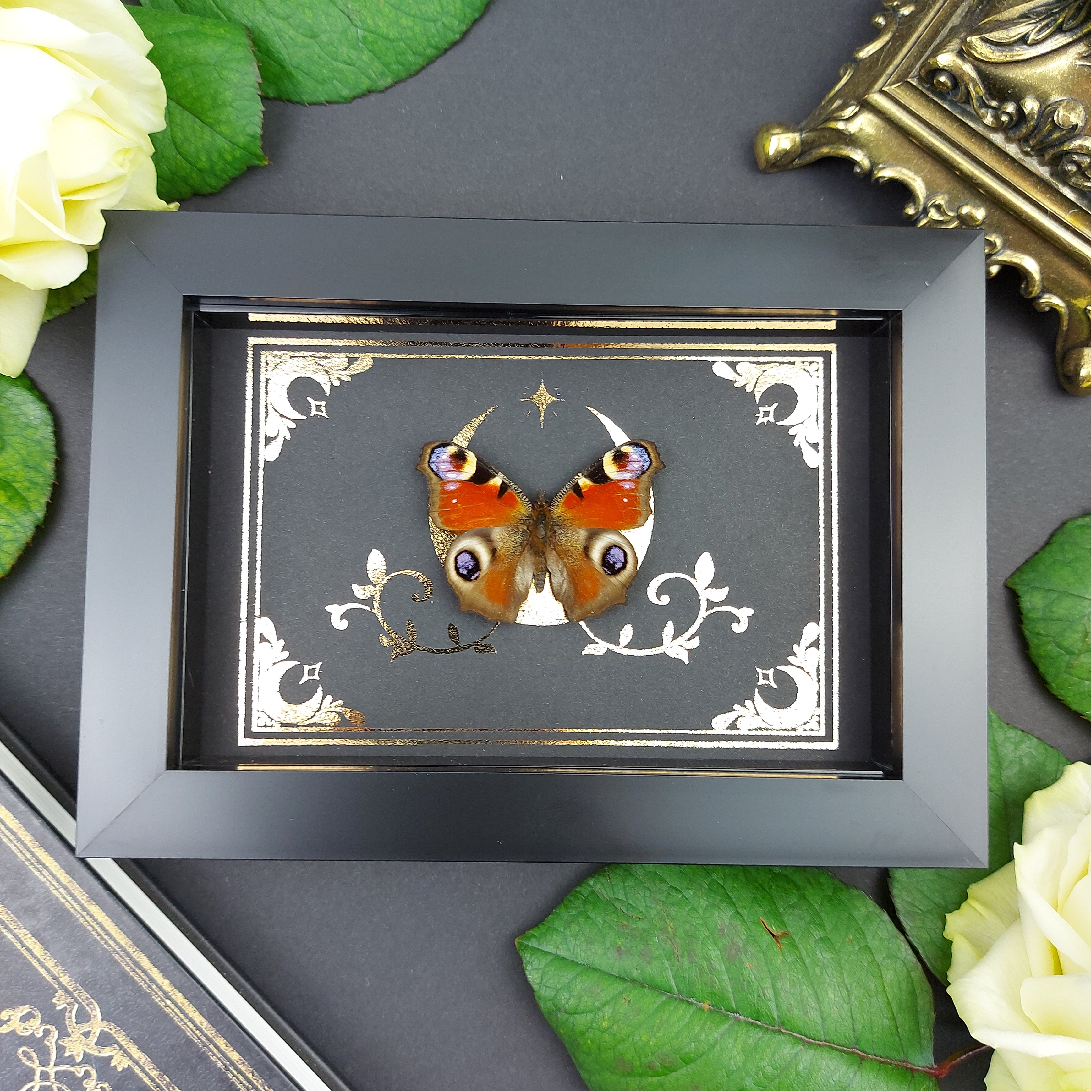 Finest Obituaries | Schmetterling im Rahmen "Inachis Io" – FinestObituaries