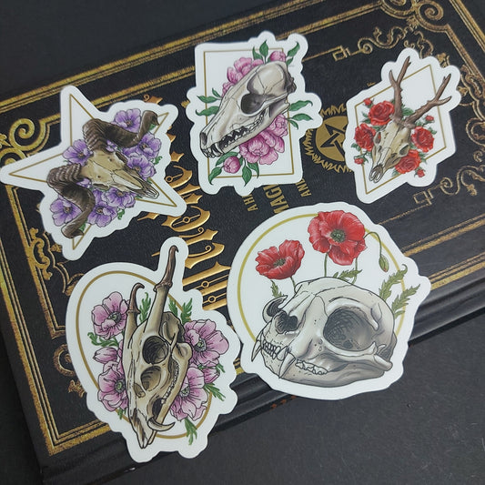 Sticker Schädel 5er Pack