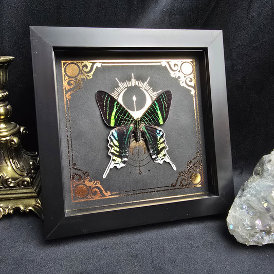 Finest Obituaries | Motte im Rahmen "Urania Leilus"