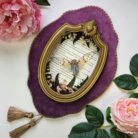 Präparierte Zikade Ayuthia spectabilis im ovalen Barockrahmen mit violetter Samtplatte
Weiße Zikade Ayuthia spectabilis als Insect Decor in dekorativem Barockrahmen