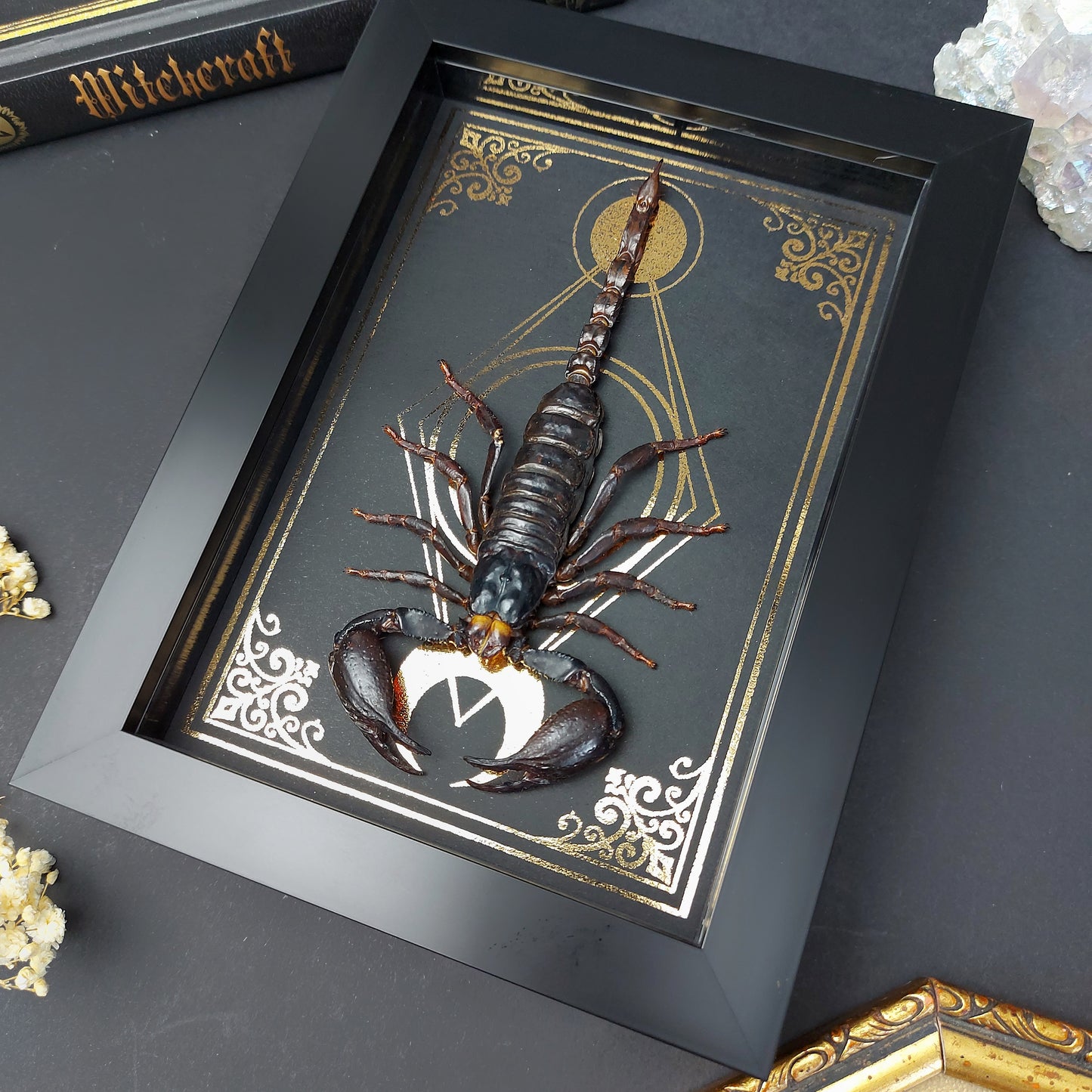Finest Obituaries | Präparierter Skorpion Heterometrus cyaneus in schwarzem Rahmen mit goldfarbenem, handgearbeitetem Hintergrund im Gothic-Stil