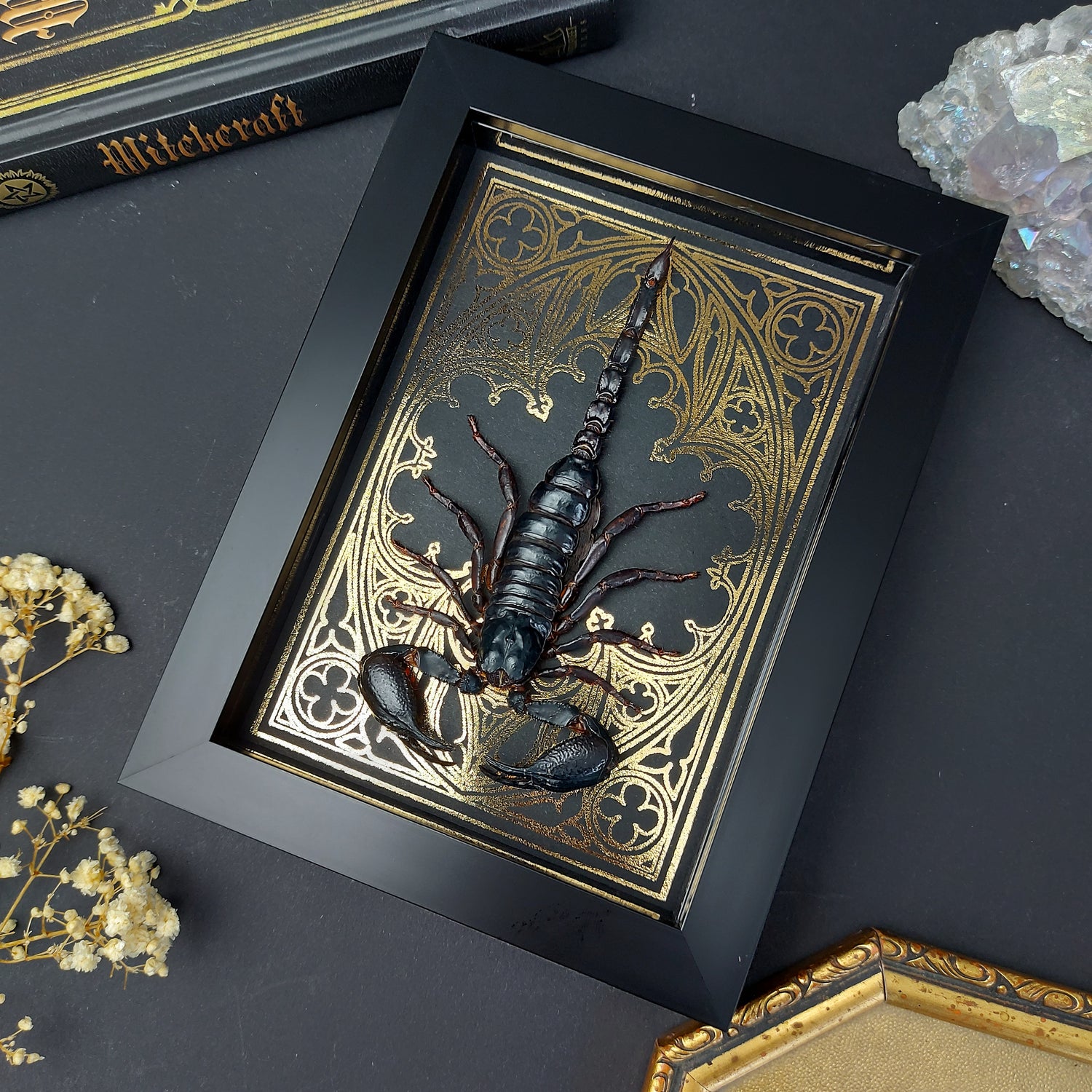 Finest Obituaries | Präparierter Skorpion Heterometrus cyaneus in schwarzem Rahmen mit goldfarbenem, handgearbeitetem Hintergrund im Gothic-Stil.