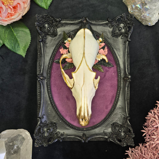 Echter Fuchsschädel im schwarzen Barockrahmen mit lila Samthintergrund und floralen Details