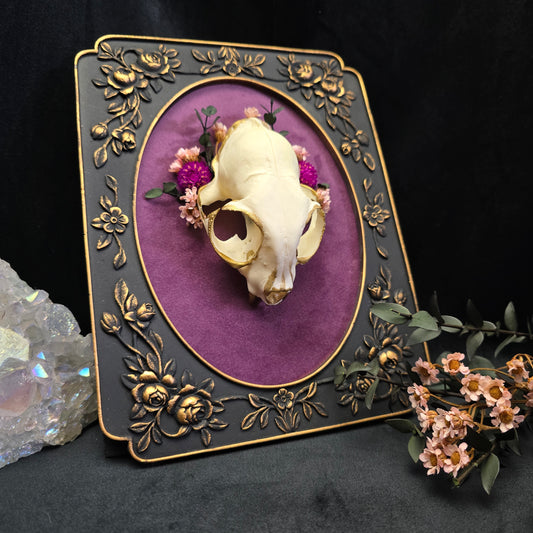 Finest Obituaries | Cat skull on baroque frame