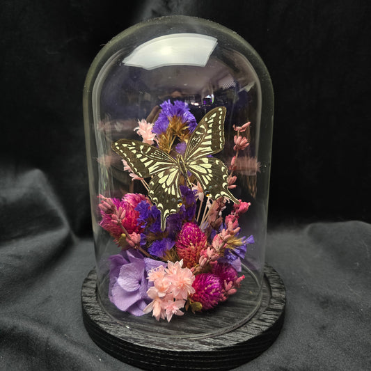 Finest Obituaries | Schmetterling in Glasglocke "Papilio Xuthus Xuthus"