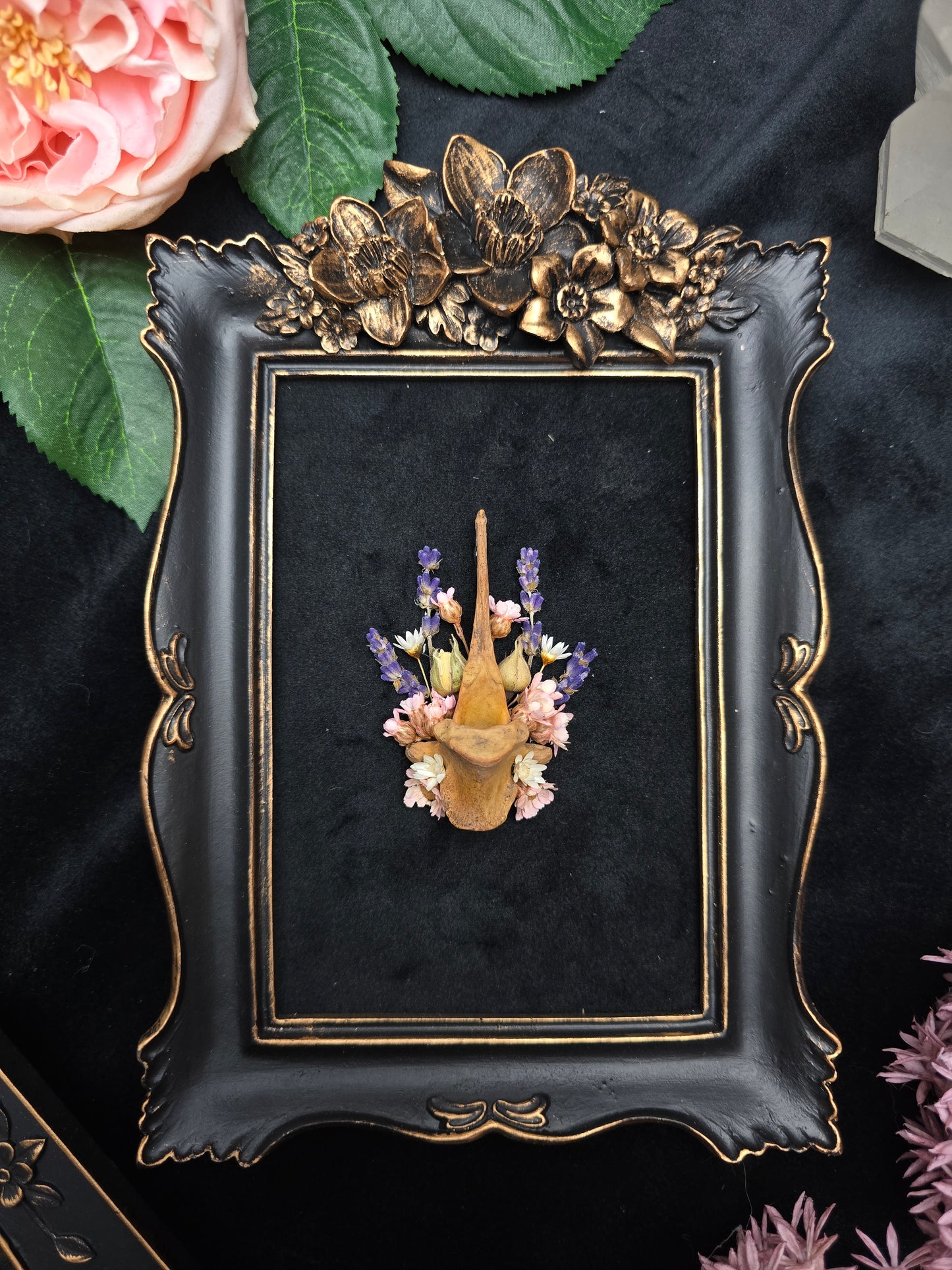 Finest Obituaries | Rehwirbel in Barockrahmen