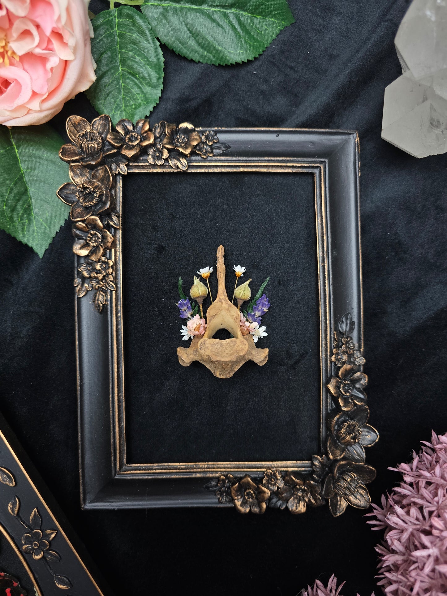 Finest Obituaries | Rehwirbel in Barockrahmen