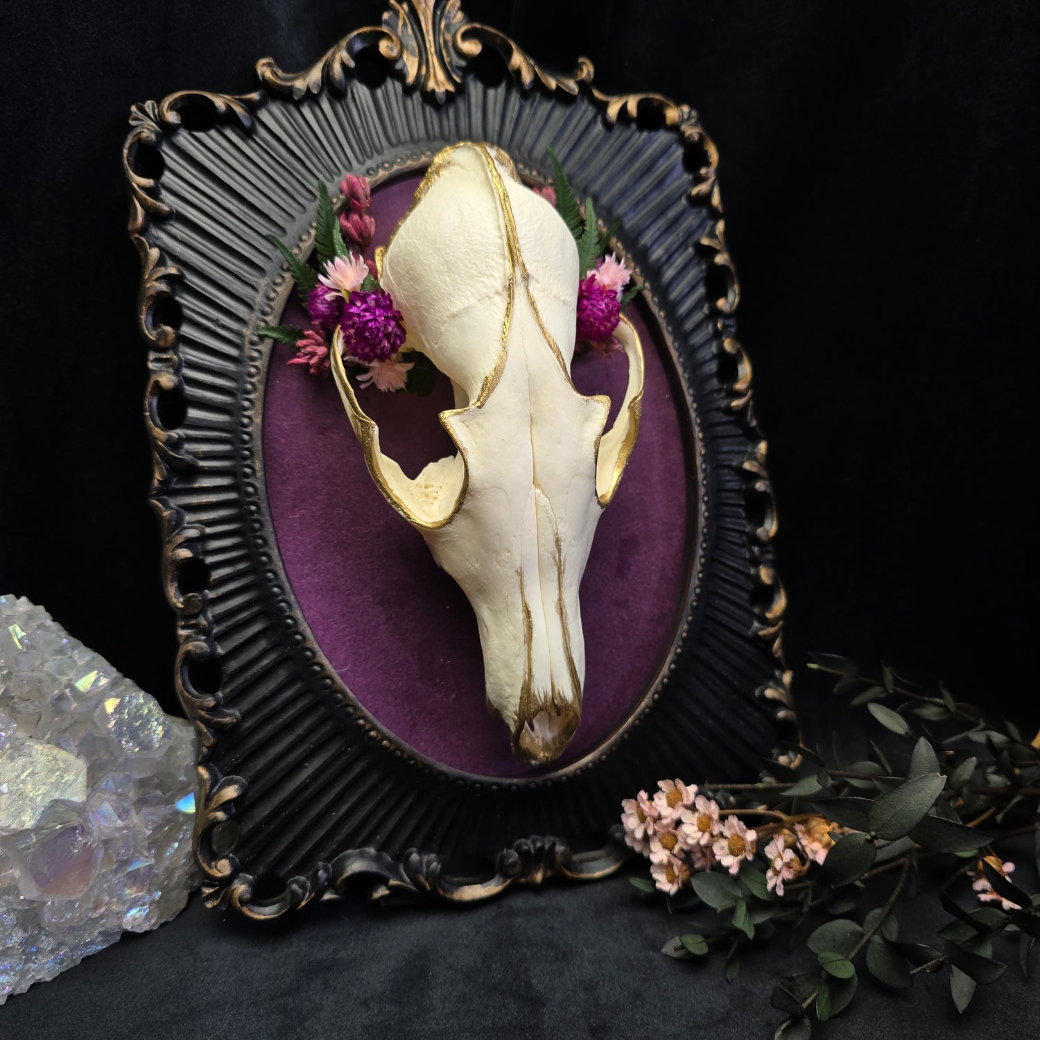 Skulls And Bones