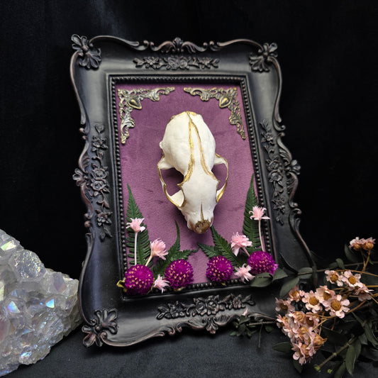 Finest Obituaries | Marten Skull on Baroque Frame