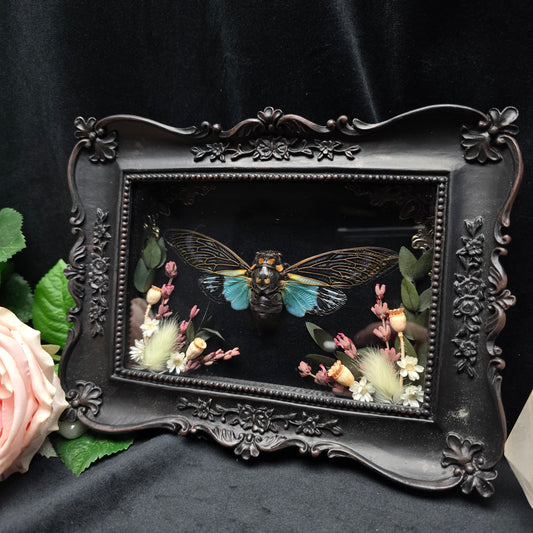 Gothic Bilderrahmen mit echtem präparierten Schmetterling und Trockenblumen hinter Glas