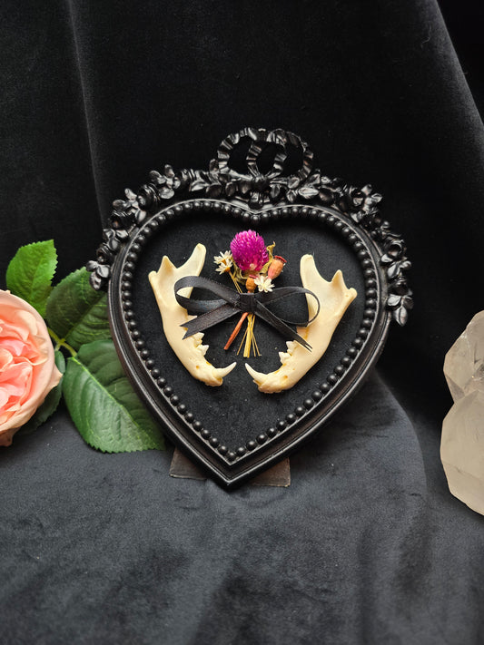 Finest Obituaries | Cat Jaw Bone in baroque frame