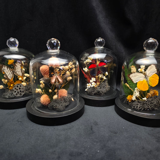 Finest Obituaries | Verschiedene Insekten in Domes S