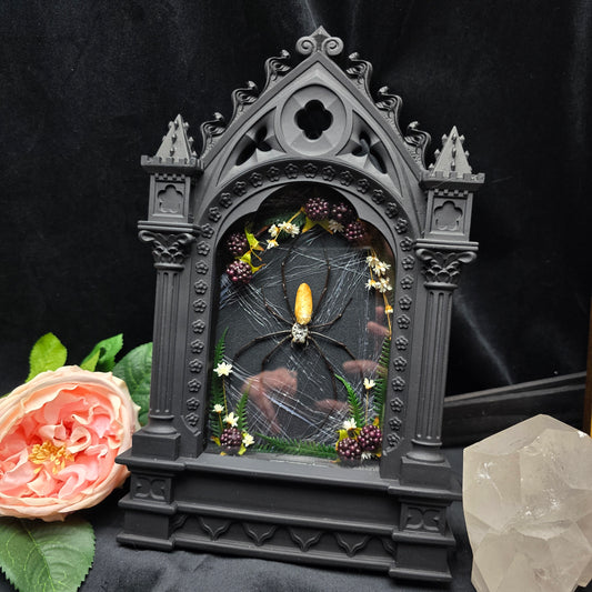 Präparierte Spinne in Gothic Kathedralenrahmen mit schwarzem Samt