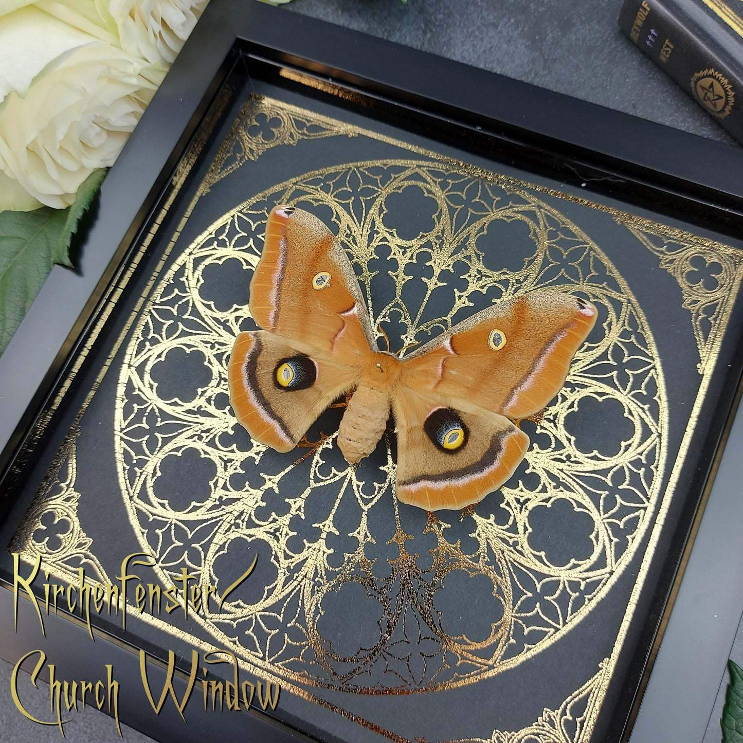 Finest Obituaries | Framed Moth "Antheraea Polyphemus"